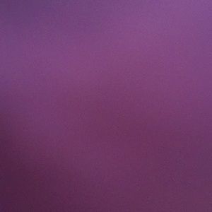 Meet your Posher, Alondra